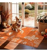 Ileading Fall Indoor Door Mat 2x3ft, Washable Muddy Mats for Dogs, Absorbent Maple Leaves Entranc...