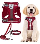 PUPTECK Adjustable Dog Harness Collar and Leash Set Step in No Pull Pet Harness for Small Medium ...