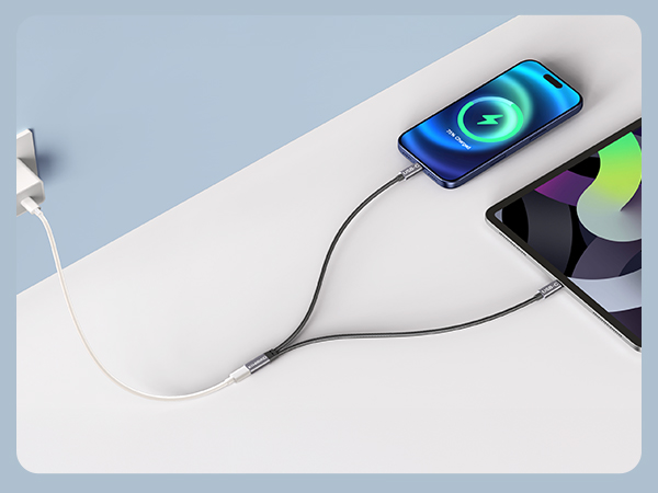 USB C Splitter 1 Female to 2 Male