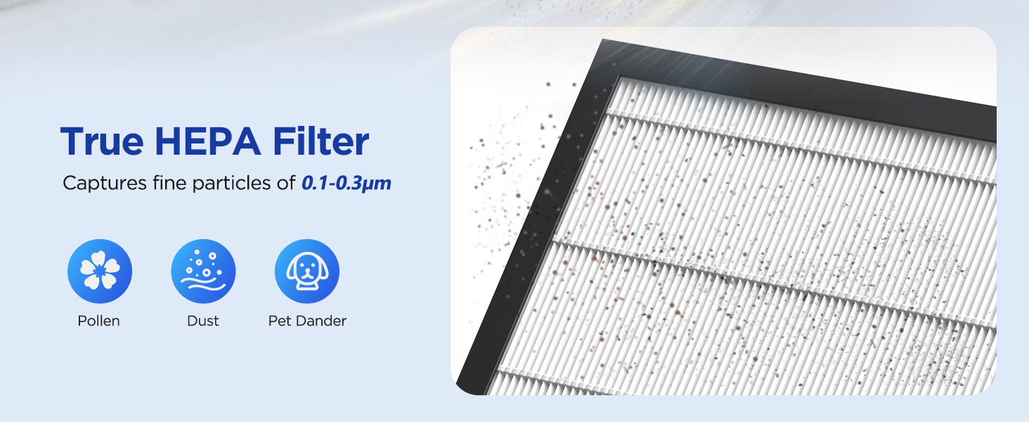 H13 True HEPA filter captures wildfire smoke, perfect for hazy days
