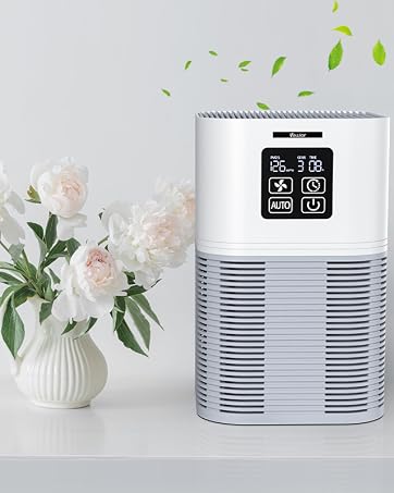 A1 Air Purifier