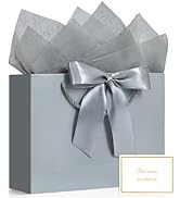 JMANNI Gift Bags, 1PCS Gift Bags Large with Ribbon and 1 Greeting Cards 2 Tissue Paper, Portable ...