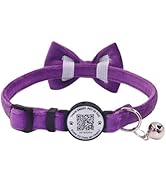 THAIN Personalized Cat Collar
