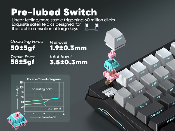 pre-lubed switch