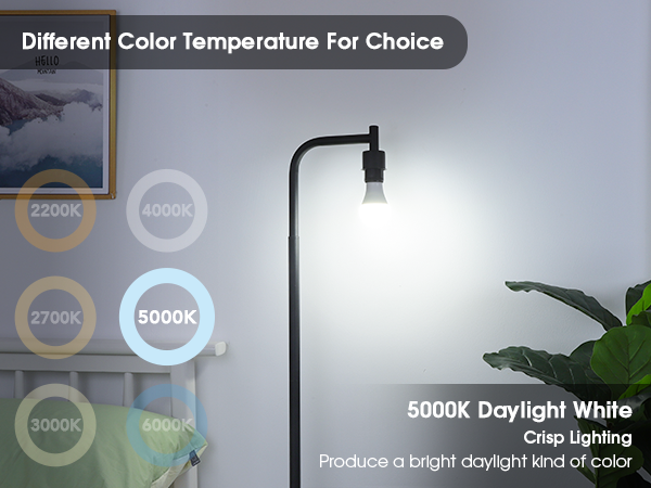 3000K led light bulbs