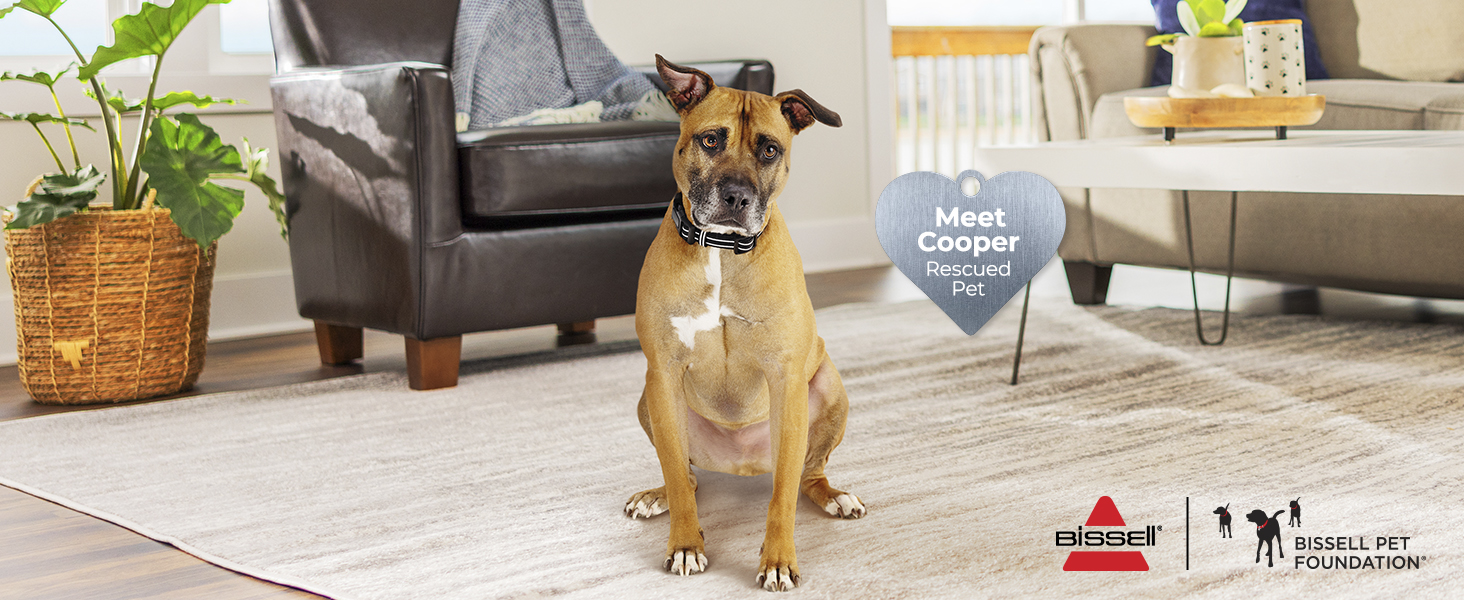 bissell pet foundation