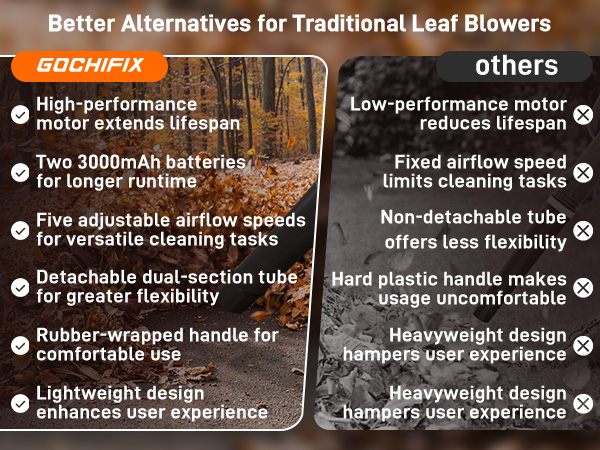 Better Alternatives for Traditional Leaf Blowers
