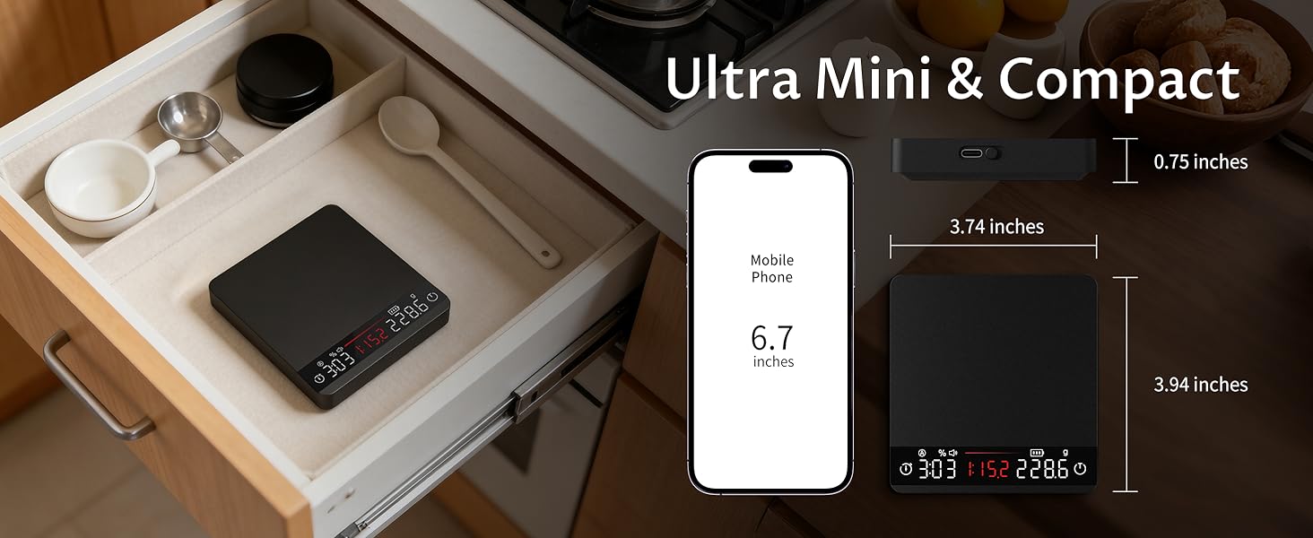 Mini Scale
