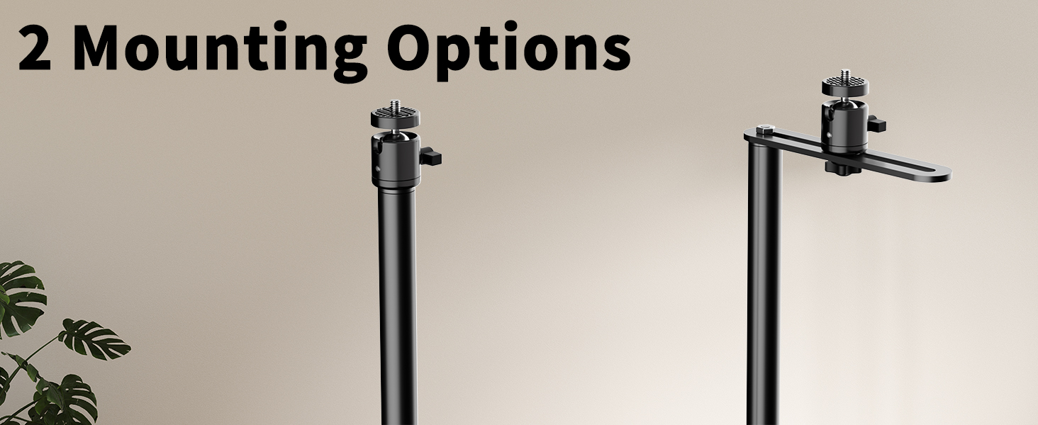 2 Mounting Options