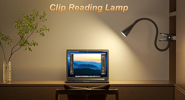 clip on light