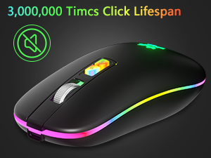 mice computer