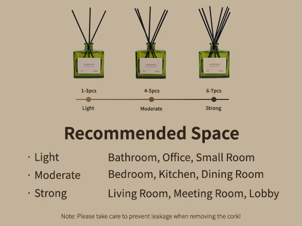 Reed diffuser