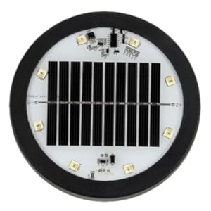 Solar Penguin Light