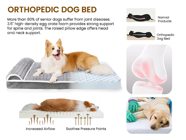 dog bed large sized dog