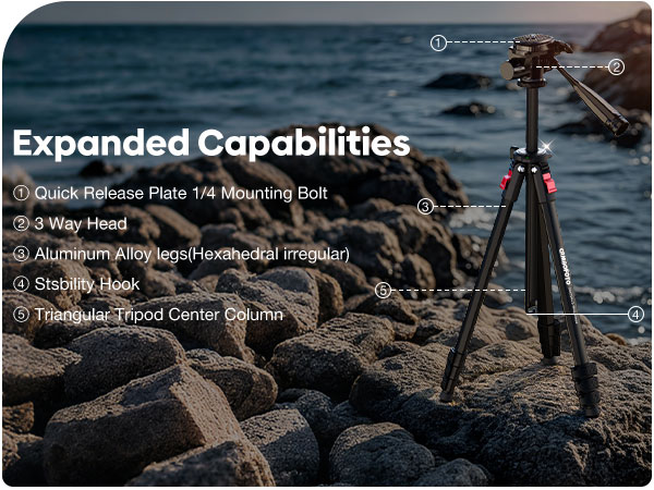 Lightweight Camera Tripod Stand
