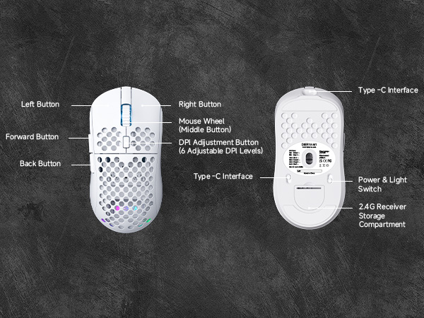 mouse