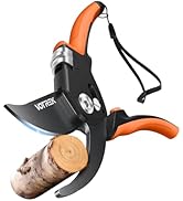 Pruning Shears