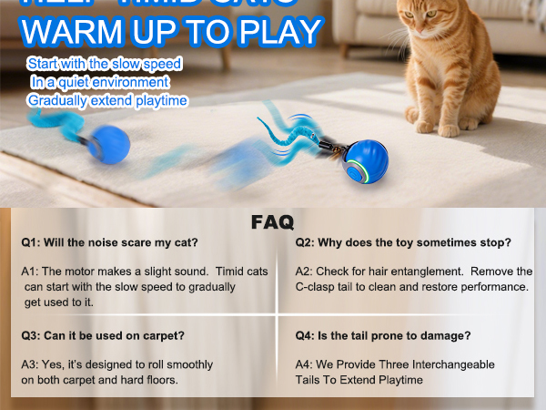 Interactive Cat Toy Ball