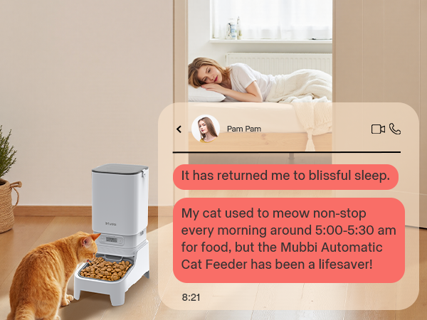 timed dog feeders