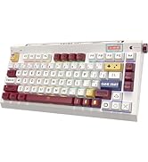 RisoPhy PC423 Wireless Creamy Keyboard with Screen & Knob, 75% 2.4G/Bluetooth/USB-C Gasket RGB Me...