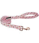 ARING PET Summer Dog Leash, Pink Watermelon Dog Leashes Matching Dog Collars, Cotton Handmade Wal...