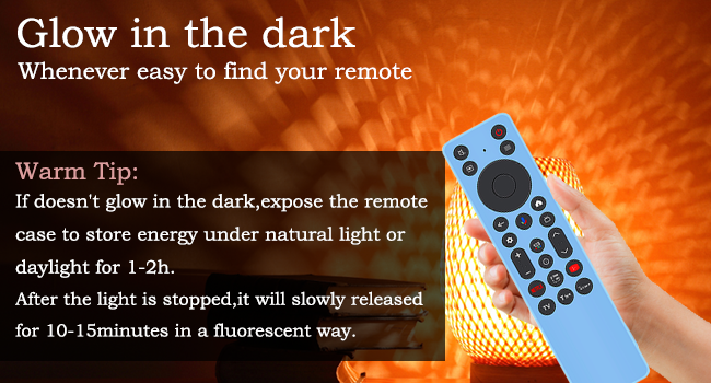 remote case