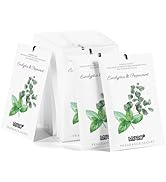 MYARO 12 Packs Eucalyptus Mint Scented Sachets for Drawer and Closet, Long-Lasting Closet Sachet ...