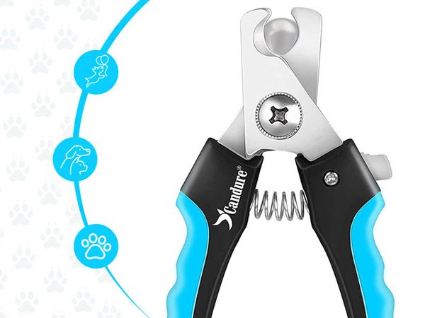 dog nail trimmers for small dogs nail trimmer for small dogs nail clippers for cats