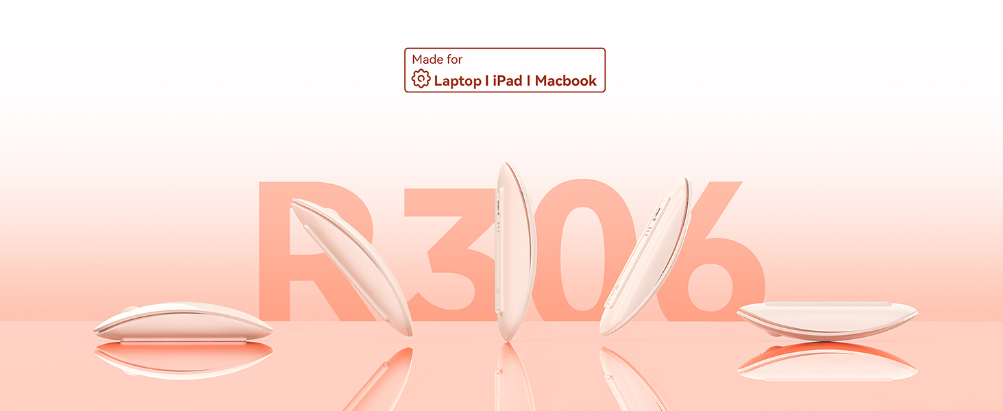 r306