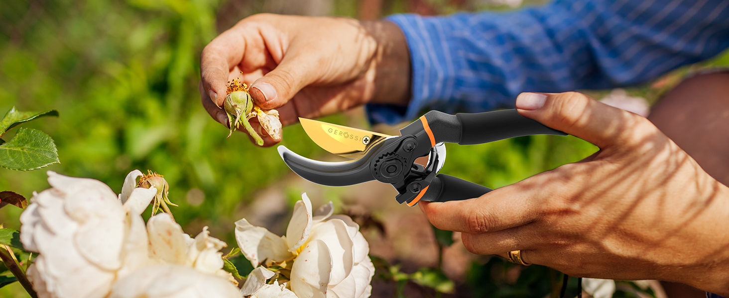 Deadheading