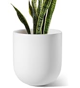 LE TAUCI 10 Inch Plant Pot, Ceramic Pots for Plants with Drainage Hole and Rubber Plug, Plant Pot...