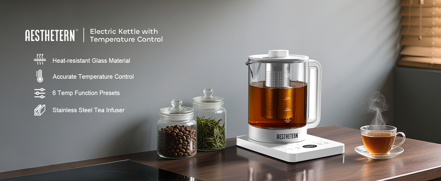 electric kettle with temperature control