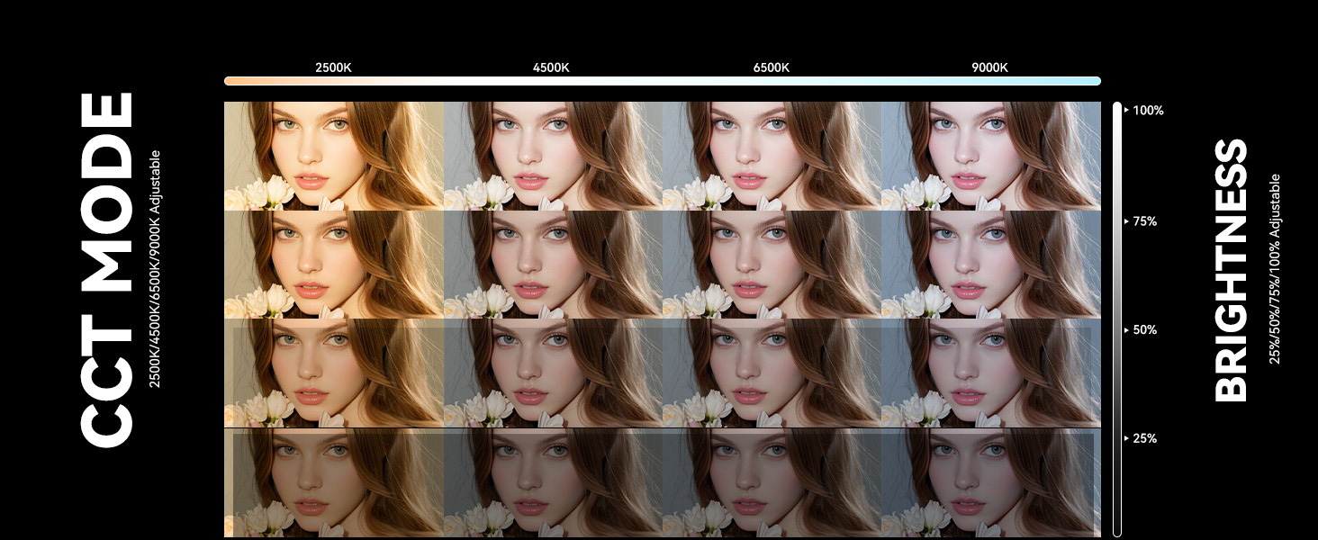 CCT Mode & Brightness Level