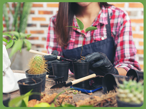plant tool