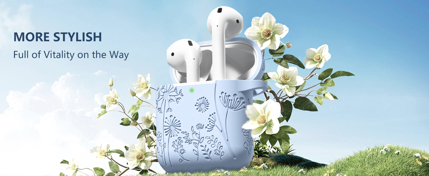 airpod case