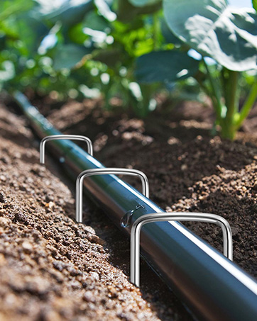 24 Pack Garden Stakes