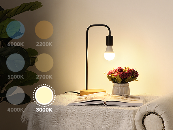 3000K A19 Light Bulbs