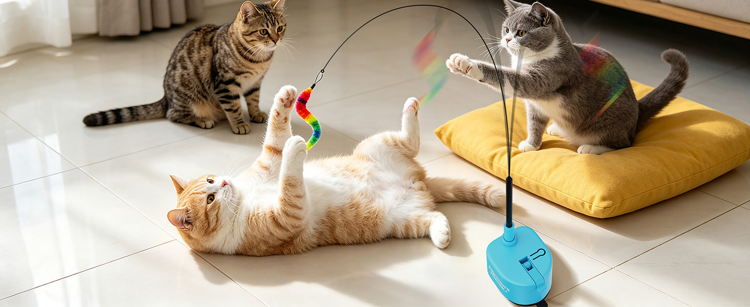 automatic cat toy
