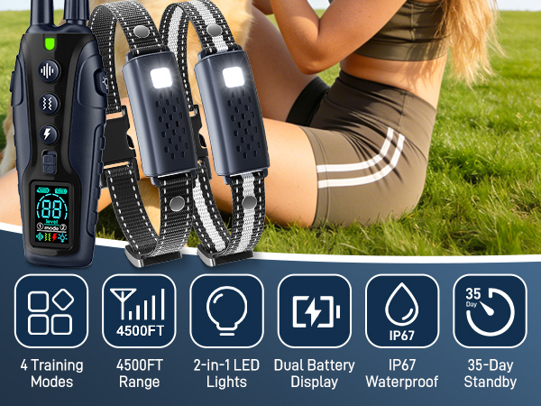 shock collar for dogs