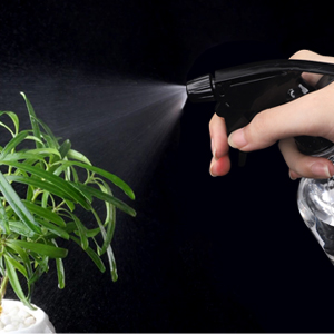 Watering plants