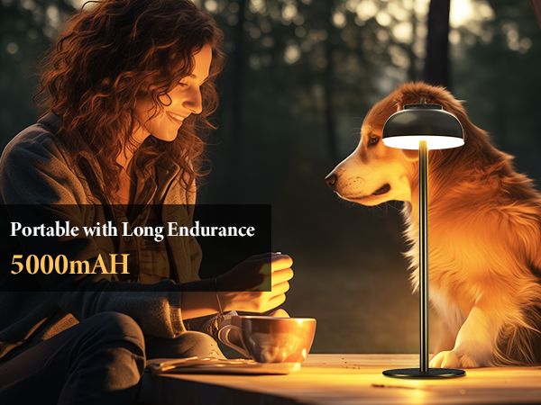 portable table lamp