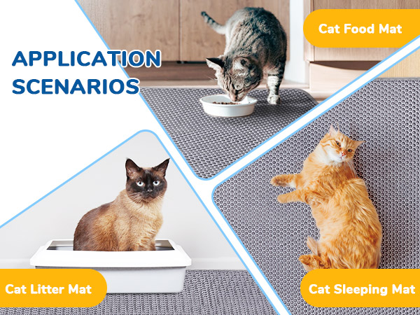Multi-scenario application