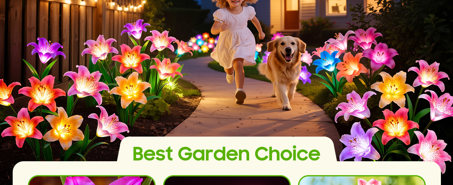 garden solar lights
