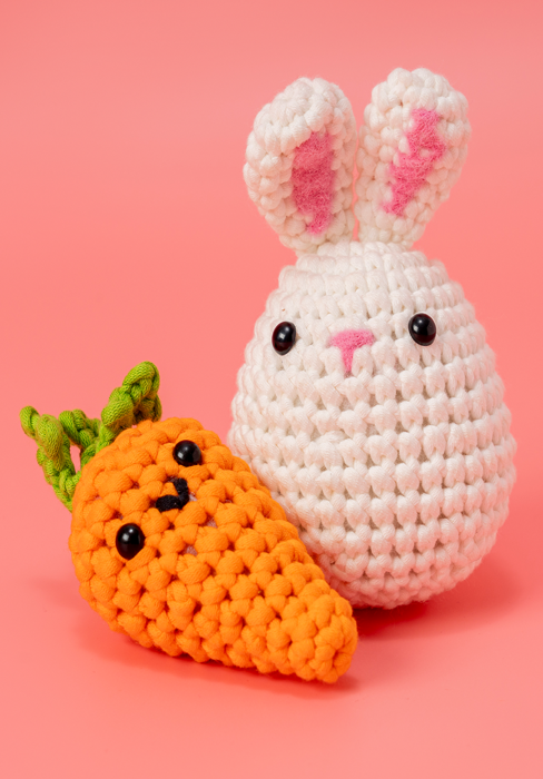Amigurumi Crochet Kit