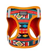 pattern harness