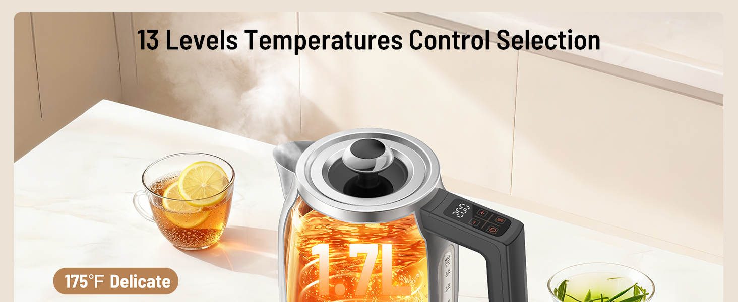 Stainless Steel Electric Kettle