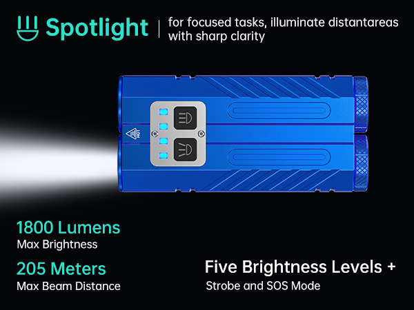 Spotlight Flashlight
