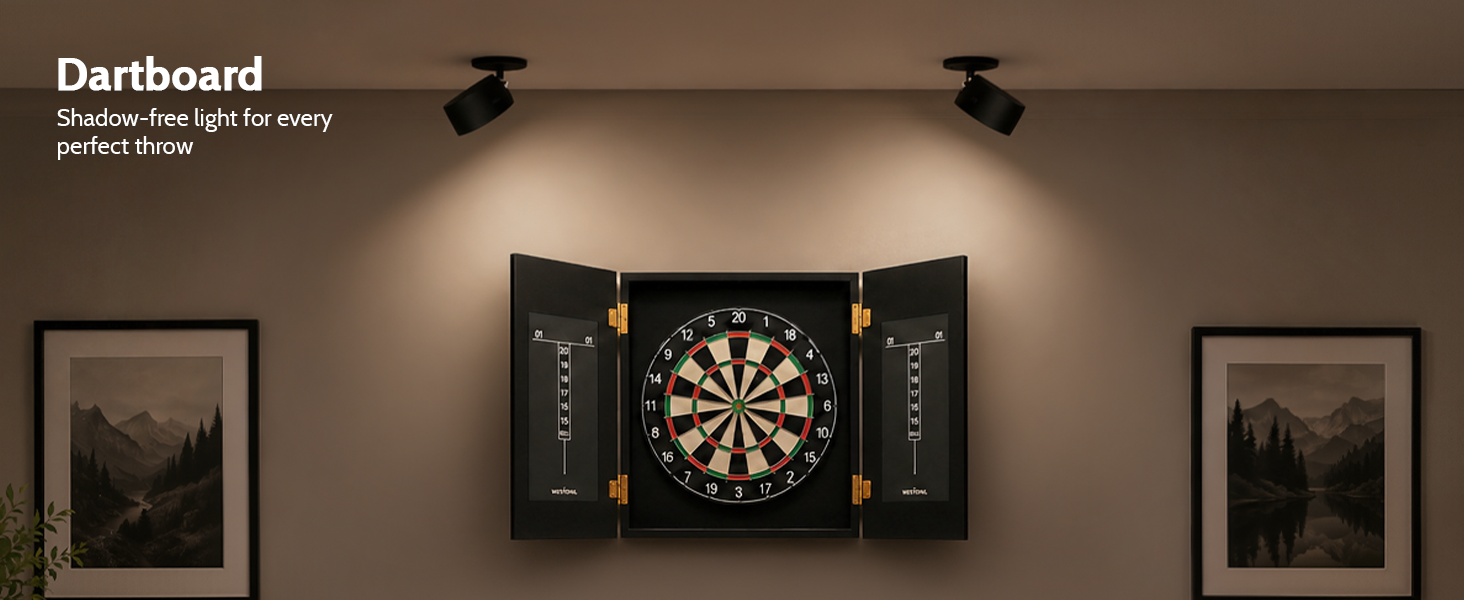 dartboard light