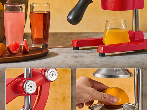 CITRUS JUICER