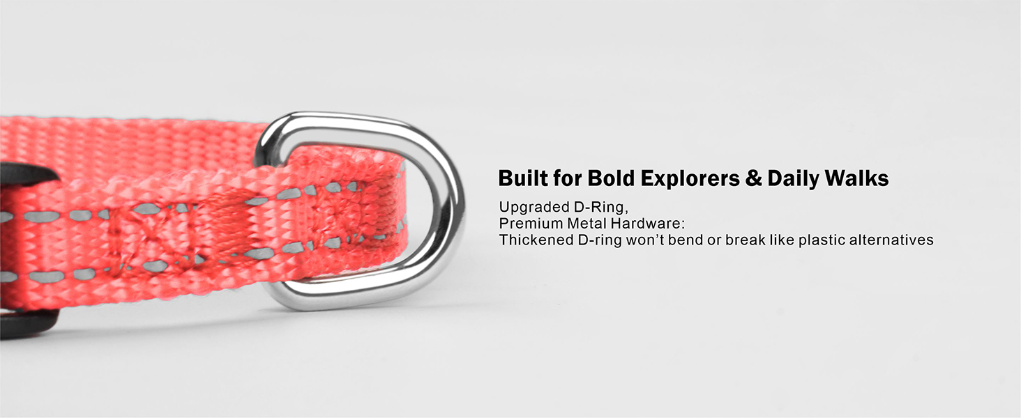 nylon dog collar